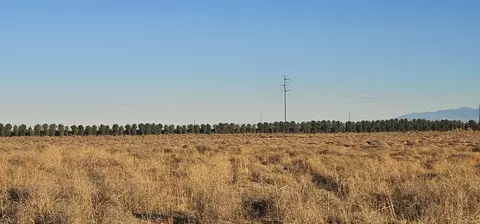 Willow Avenue, Rosamond, CA 93560