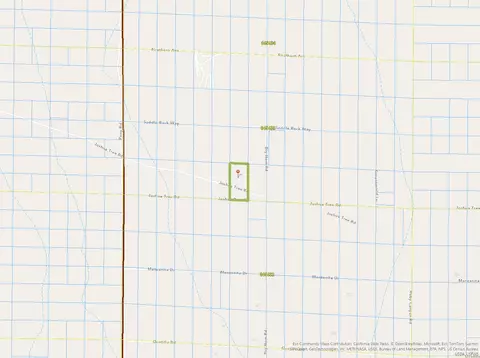 Joshua Tree Rd, Johnson Valley, CA 92285 photo 4