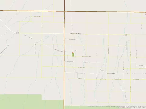 Joshua Tree Rd, Johnson Valley, CA 92285 photo 6