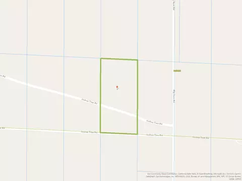 Joshua Tree Rd, Johnson Valley, CA 92285 photo 2