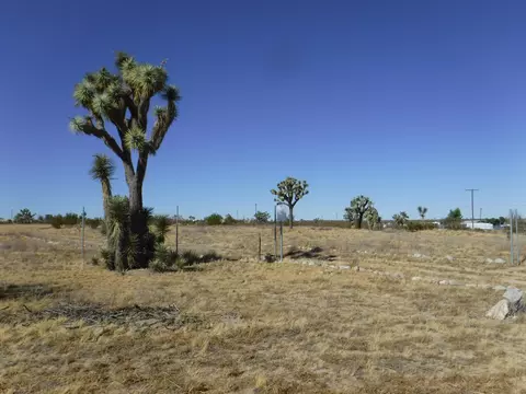 45815 182nd St, Lancaster, CA 93535 photo 3