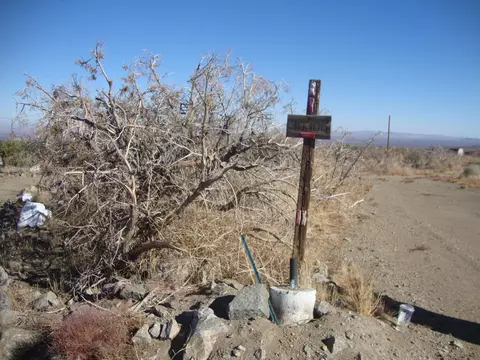 30306 104th St E, Juniper Hills, CA 93543 photo 2