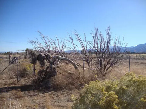30306 104th St E, Juniper Hills, CA 93543 photo 12
