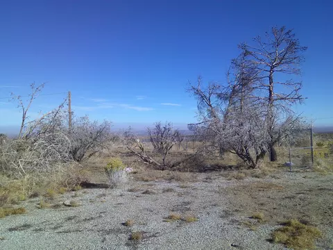 30306 104th St E, Juniper Hills, CA 93543 photo 5