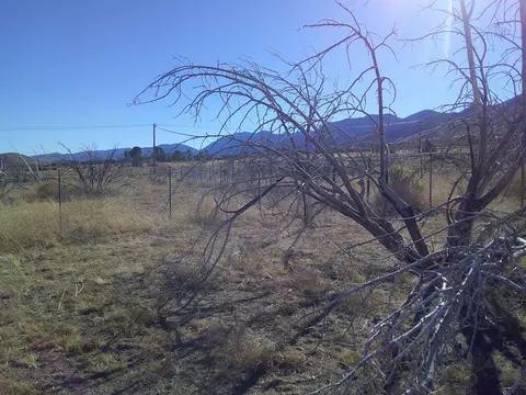 30306 104th St E, Juniper Hills, CA 93543 photo 7