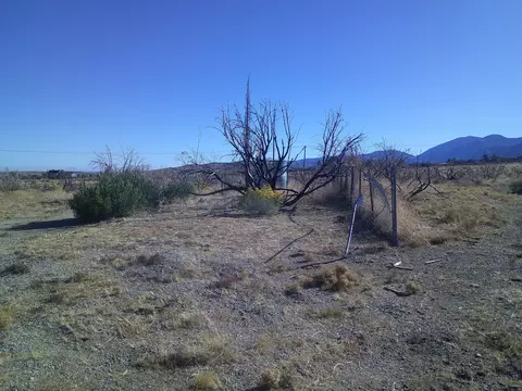 30306 104th St E, Juniper Hills, CA 93543 photo 4