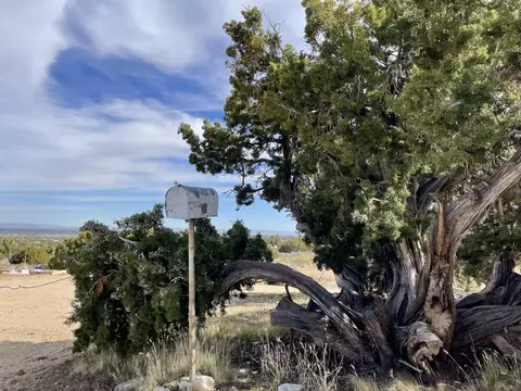 Vic Ave Z4 248 Ste Mount Waterman Avenue E, Llano, CA 93544
