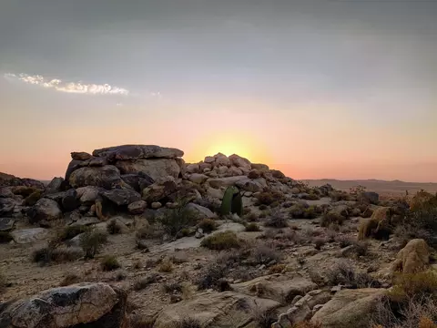 25220 Cottonwood Rd, Adelanto, CA 92301