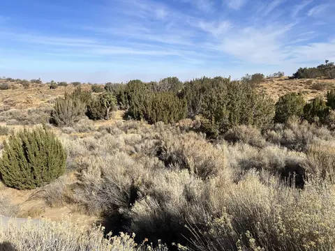 Barrel Springs Road, Palmdale, CA 93550