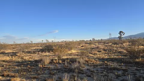 Vicinity Ave U-4 & 257th St E., Llano, CA 93544 photo 6