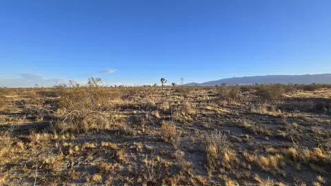 Vicinity Ave U-4 & 257th St E., Llano, CA 93544 photo 17