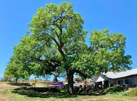 29701 Poso Ct, Tehachapi, CA 93561 photo 56
