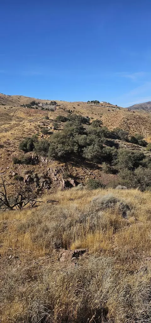 Richter Lane, Acton, CA 93510 photo 4