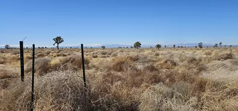 90 Th St E, Lancaster, CA 93535