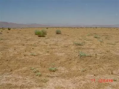 S Street, California City, CA 93505