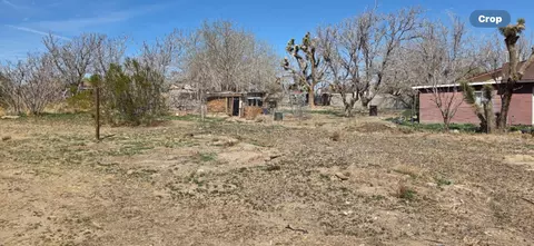 40179 166th St E, Palmdale, CA 93591 photo 5