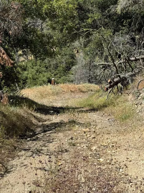 Tehachapi Mountains Area, Tehachapi, CA 93561 photo 7