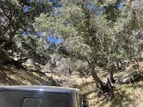 Tehachapi Mountains Area, Tehachapi, CA 93561 photo 3