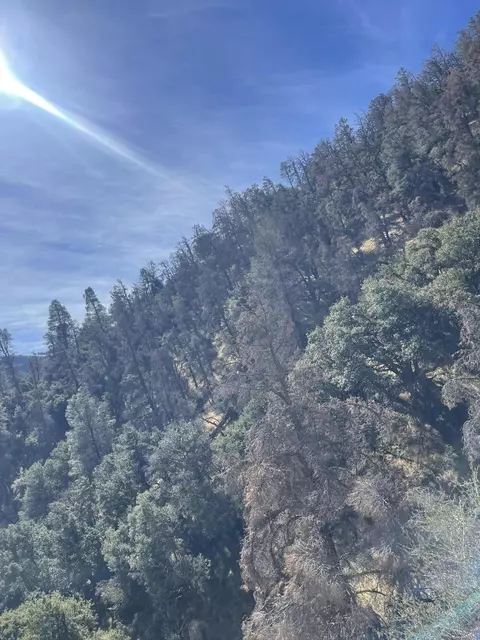 Tehachapi Mountains Area, Tehachapi, CA 93561 photo 13