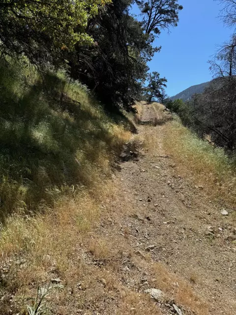 Tehachapi Mountains Area, Tehachapi, CA 93561 photo 11