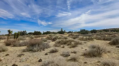 Vicinity Ave Z8 & 235th St E, Llano, CA 93544 photo 37