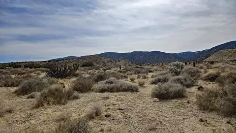 Vicinity Ave Z8 & 235th St E, Llano, CA 93544 photo 39