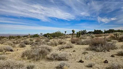 Vicinity Ave Z8 & 235th St E, Llano, CA 93544 photo 35