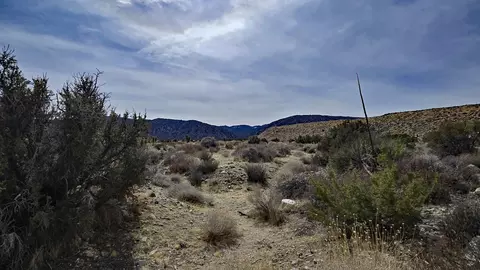 Vicinity Ave Z8 & 235th St E, Llano, CA 93544 photo 3
