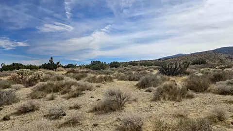 Vicinity Ave Z8 & 235th St E, Llano, CA 93544 photo 38