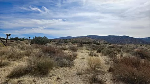 Vicinity Ave Z8 & 235th St E, Llano, CA 93544 photo 14