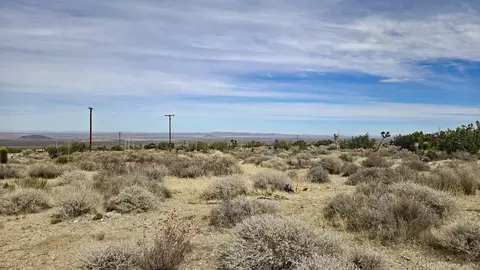 Vicinity Ave Z8 & 235th St E, Llano, CA 93544 photo 33