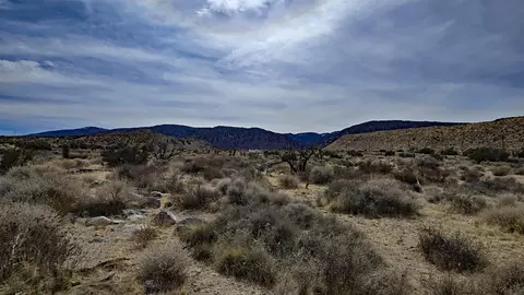 Vicinity Ave Z8 & 235th St E, Llano, CA 93544 photo 18