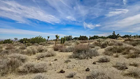 Vicinity Ave Z8 & 235th St E, Llano, CA 93544 photo 36