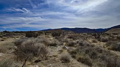 Vicinity Ave Z8 & 235th St E, Llano, CA 93544 photo 17