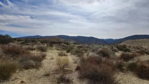 Vicinity Ave Z8 & 235th St E, Llano, CA 93544 photo 15