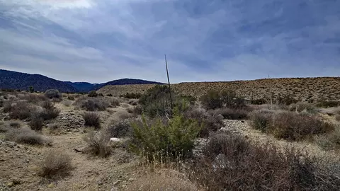 Vicinity Ave Z8 & 235th St E, Llano, CA 93544 photo 4