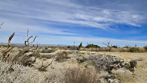 Vicinity Ave Z8 & 235th St E, Llano, CA 93544 photo 7