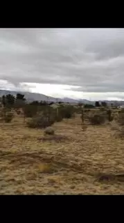 168 Th St Avenue T2 St E, Palmdale, CA 93591