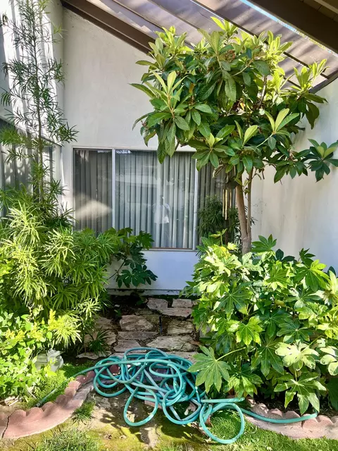 Exterior - 44040 Halcom Ave, Lancaster, CA 93536 photo 7 of 14