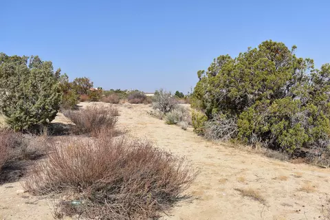 31221 Vic Avenue Y8 161 Ste St E, Llano, CA 93544 photo 28
