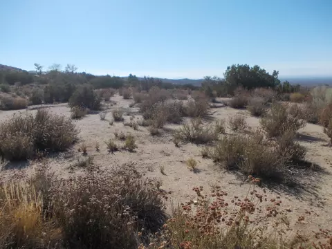 31221 Vic Avenue Y8 161 Ste St E, Llano, CA 93544 photo 21
