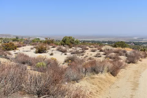 31221 Vic Avenue Y8 161 Ste St E, Llano, CA 93544 photo 26