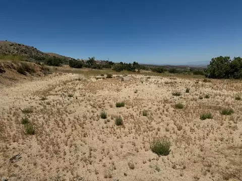 31221 Vic Avenue Y8 161 Ste St E, Llano, CA 93544 photo 5