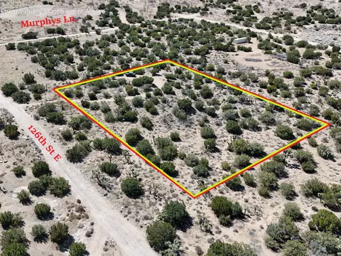 126 Th St E, Pearblossom, CA 93553 photo 5