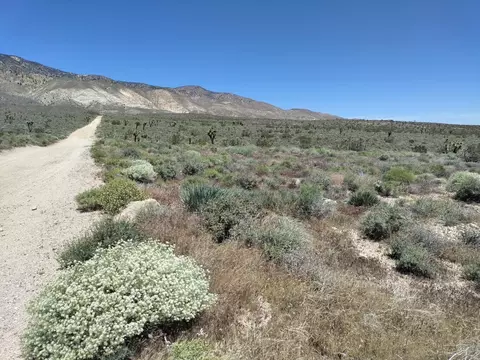 Paradise Way Apn 224-222-56-00, Mojave, CA 93501