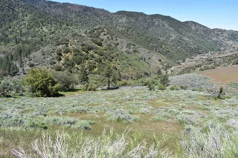 Neuchatel Way S/o Grimsel Dr, Tehachapi, CA 93561