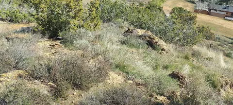 34401 Governor Mine Rd, Acton, CA 93510 photo 2