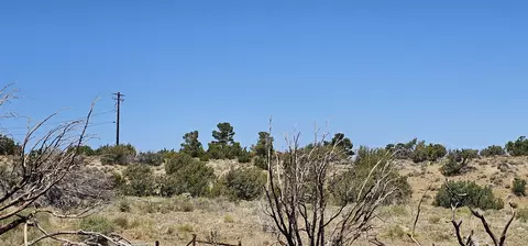 98 Th St E, Juniper Hills, CA 93543 photo 15