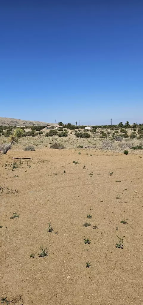98 Th St E, Juniper Hills, CA 93543 photo 13