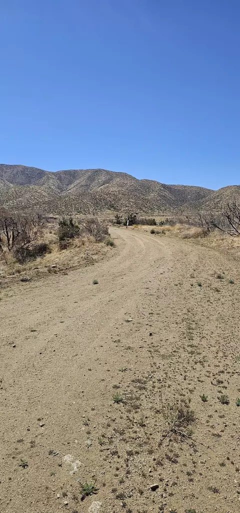 98 Th St E, Juniper Hills, CA 93543 photo 9